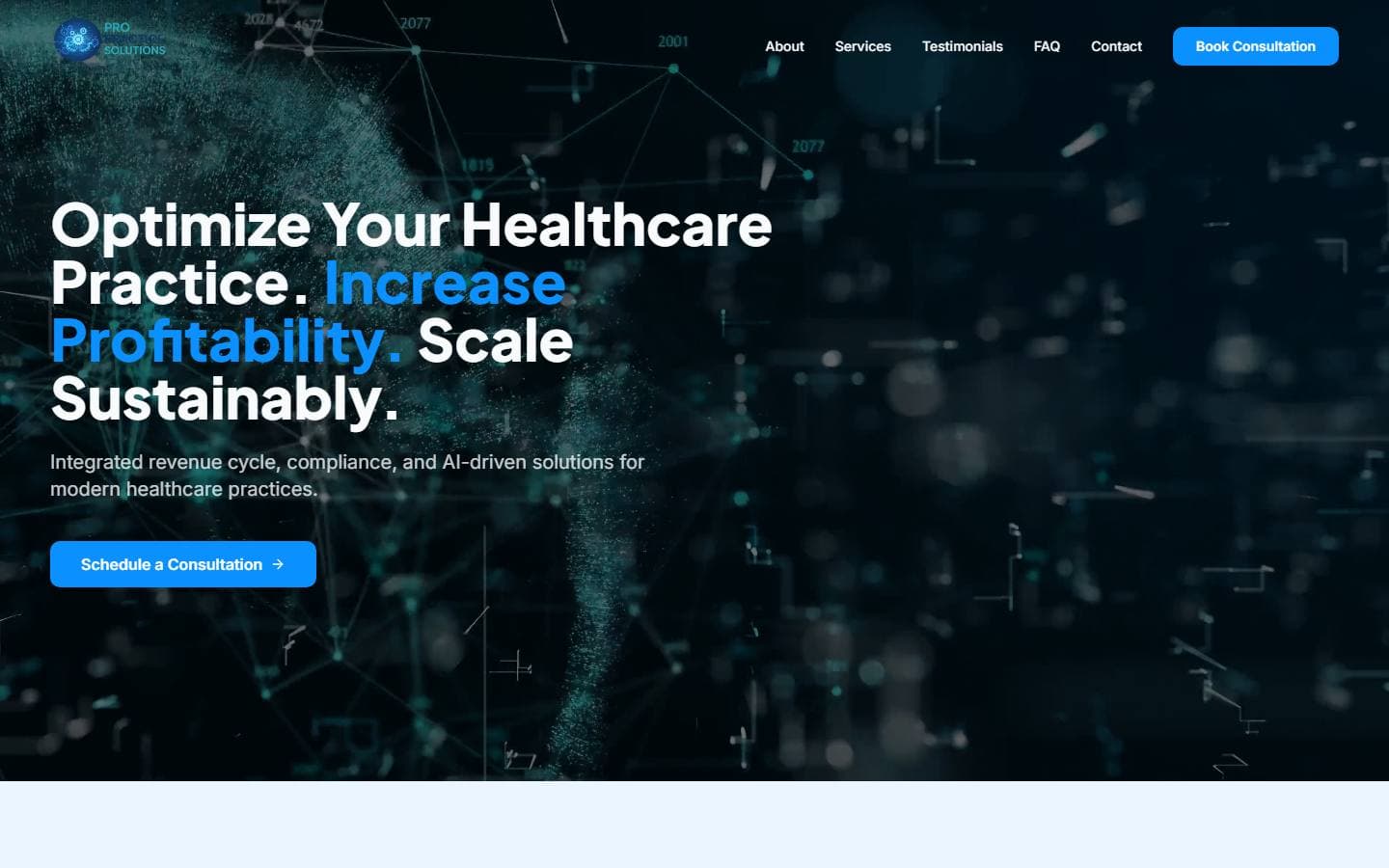Pro Practice Solutions old website