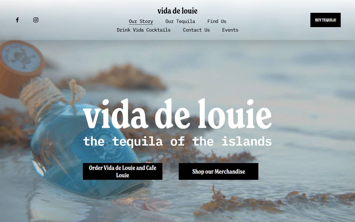 Vida de Louie old website
