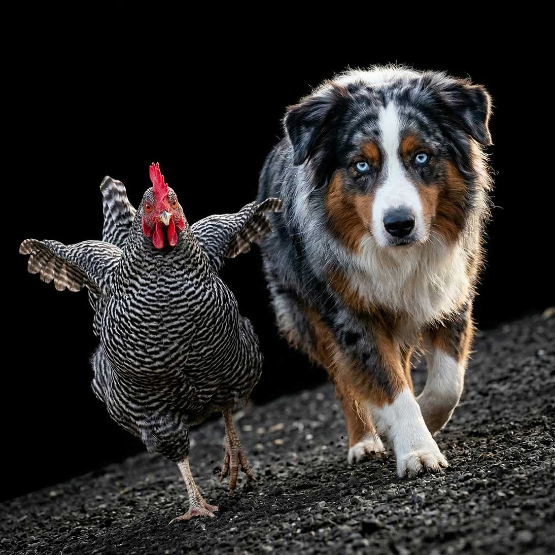 Go Balls Out Or Go Home.