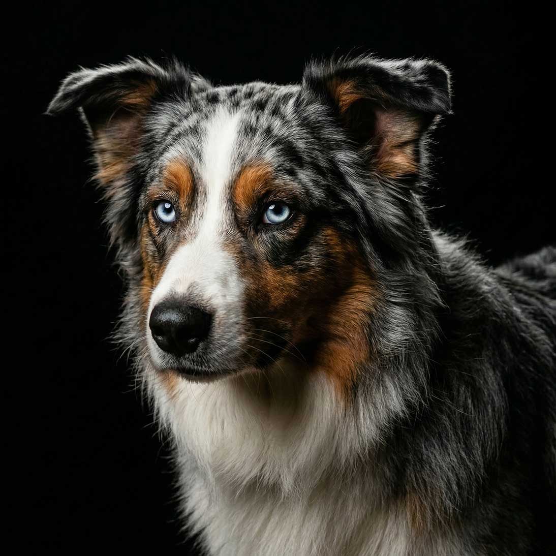 Reinvest. Scale. Leave Them Behind.