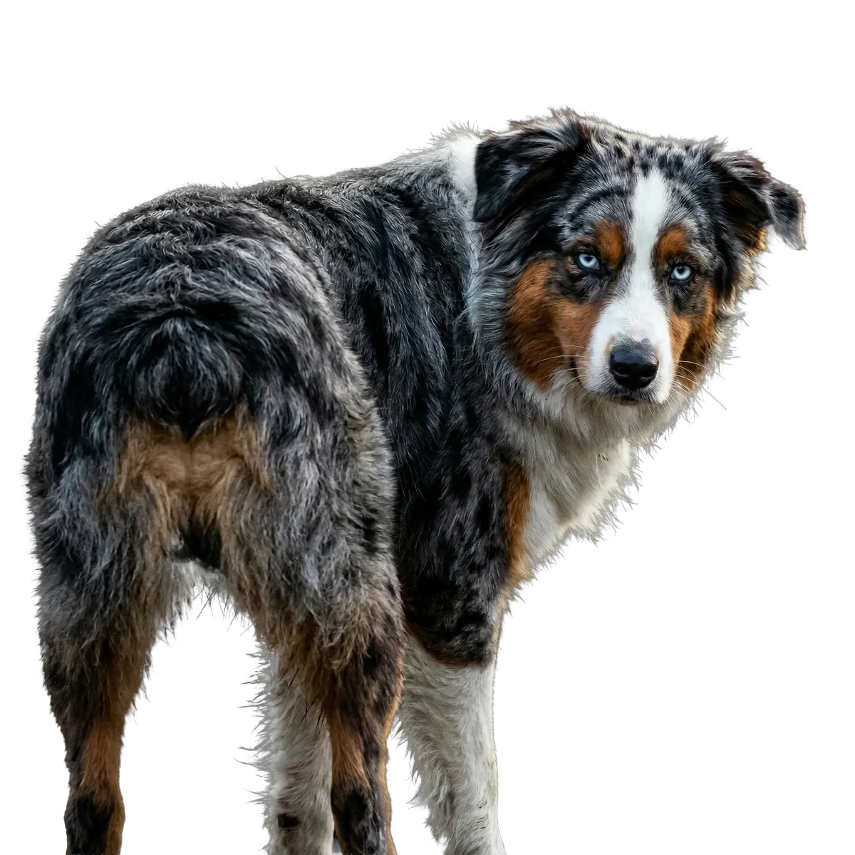 Do not leave important information out of your website