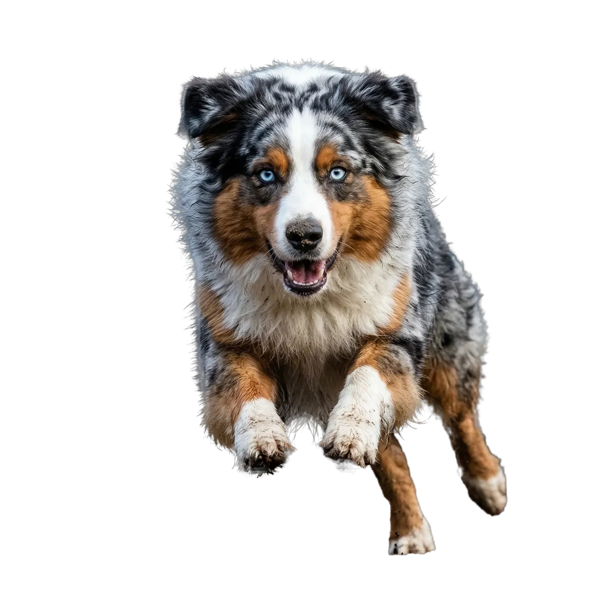 Small Business SEO service illustration